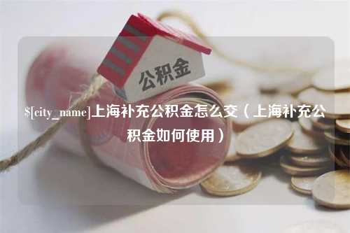 茌平上海补充公积金怎么交（上海补充公积金如何使用）