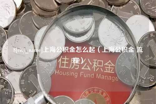 茌平上海公积金怎么起（上海公积金 流程）